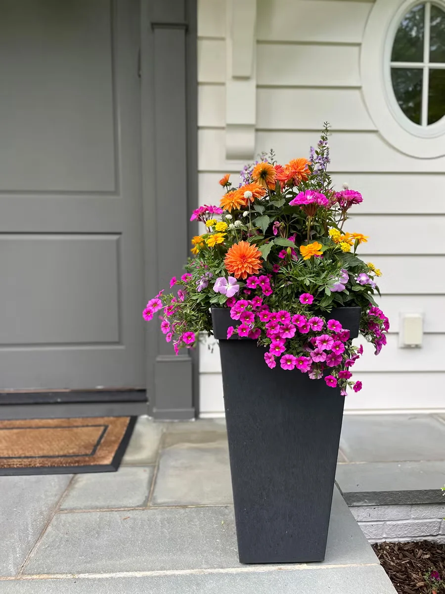 Laura likes tall containers for the way they save space and bring the beauty of the flowers closer to the eye.