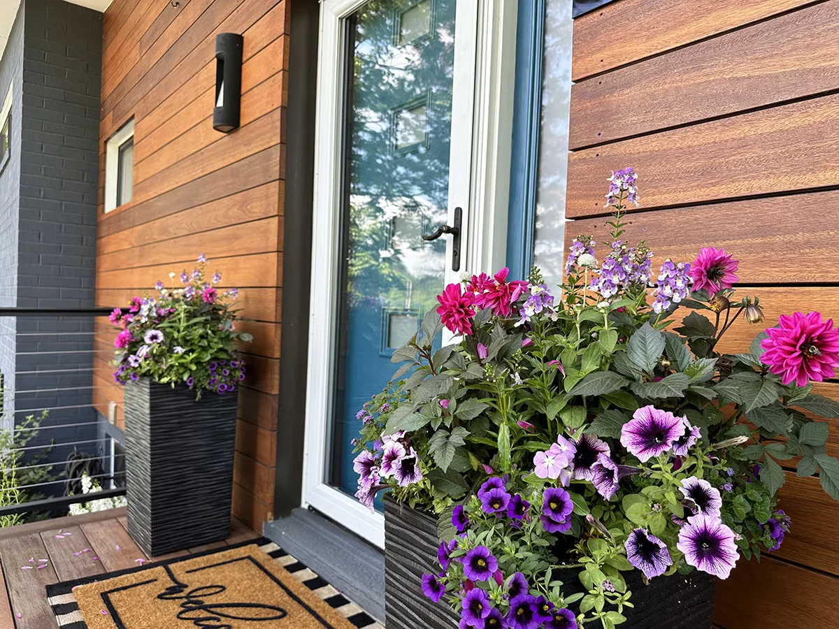 Create Annual Planters That Are Dramatic and Full of Color