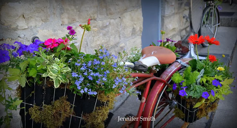 Container Gardening