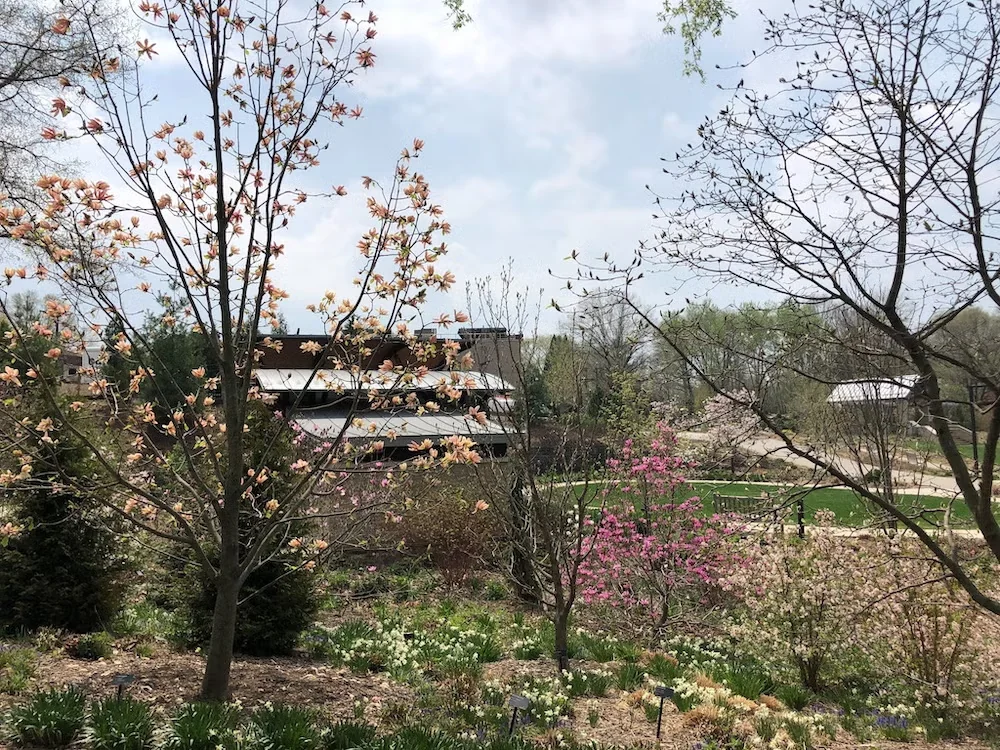 The Magnolia Grove at Wisconsin's Green Bay Botanical Garden showcases dozens of magnolia species and cultivars.
