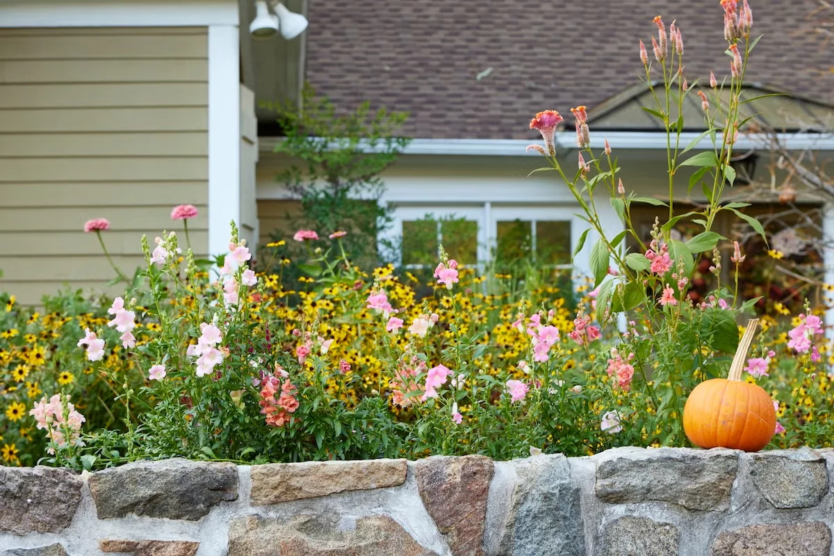Pink Flowers Can Look Right at Home in Fall