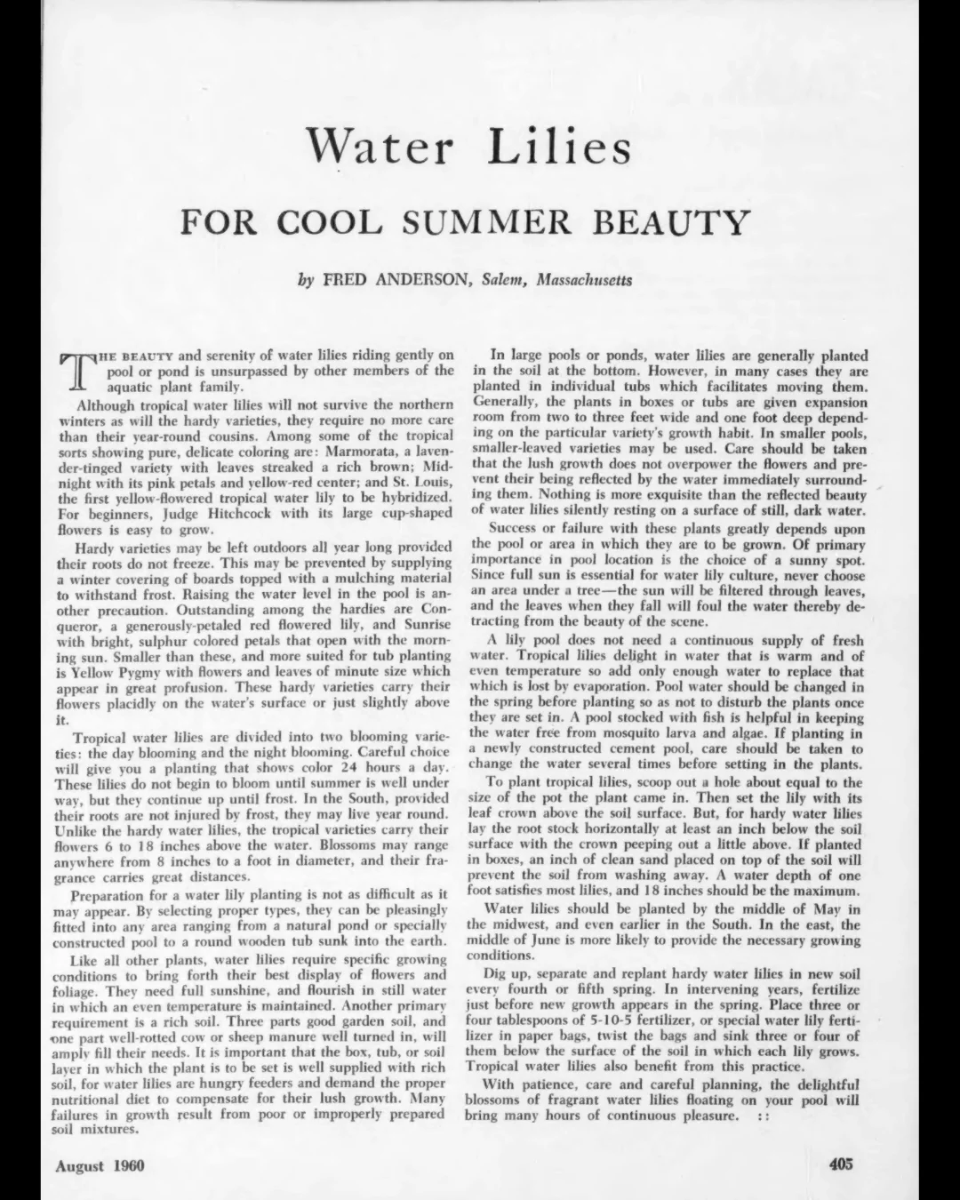 Water Lilies for Cool Summer Beauty | From the Archive